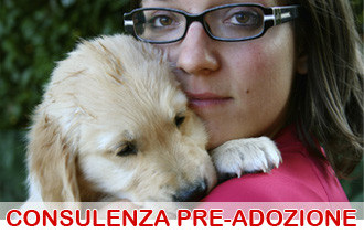 consulenza pre-adozione cane