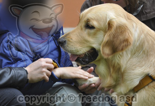 pet therapy aiuto concreto