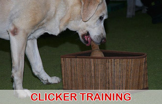clicker training