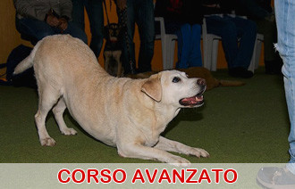corso avanzato