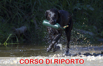 corso riporto retriever