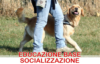 educazione socializzazione cani