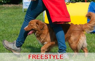 freestyle