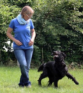 stage-dog-dance
