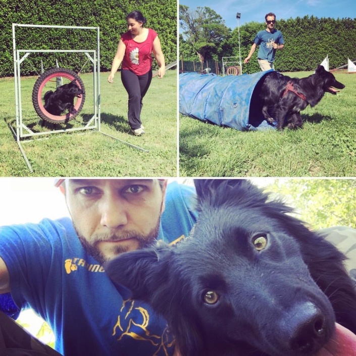 Agility